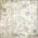 Набор бумаги односторонней для скрапбукинга Stamperia SBBXLB32 "HERBARIUM SILVAE"